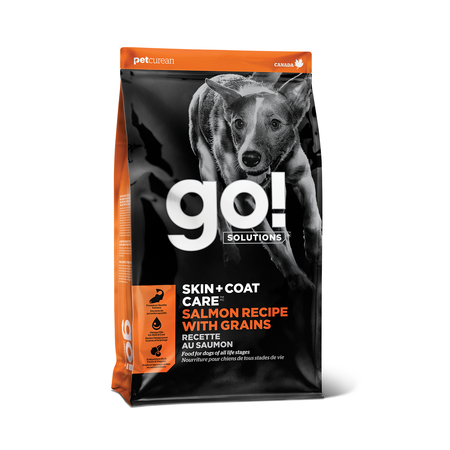 Go! Solution Skin + Coat Care Grain Free Salmon Recipe Cat Dry Food