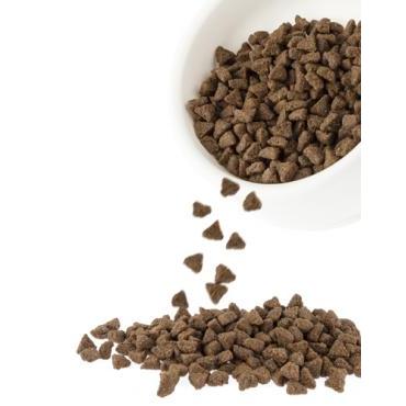 Harlow Blend Fish Fusion Grain Free For Cats