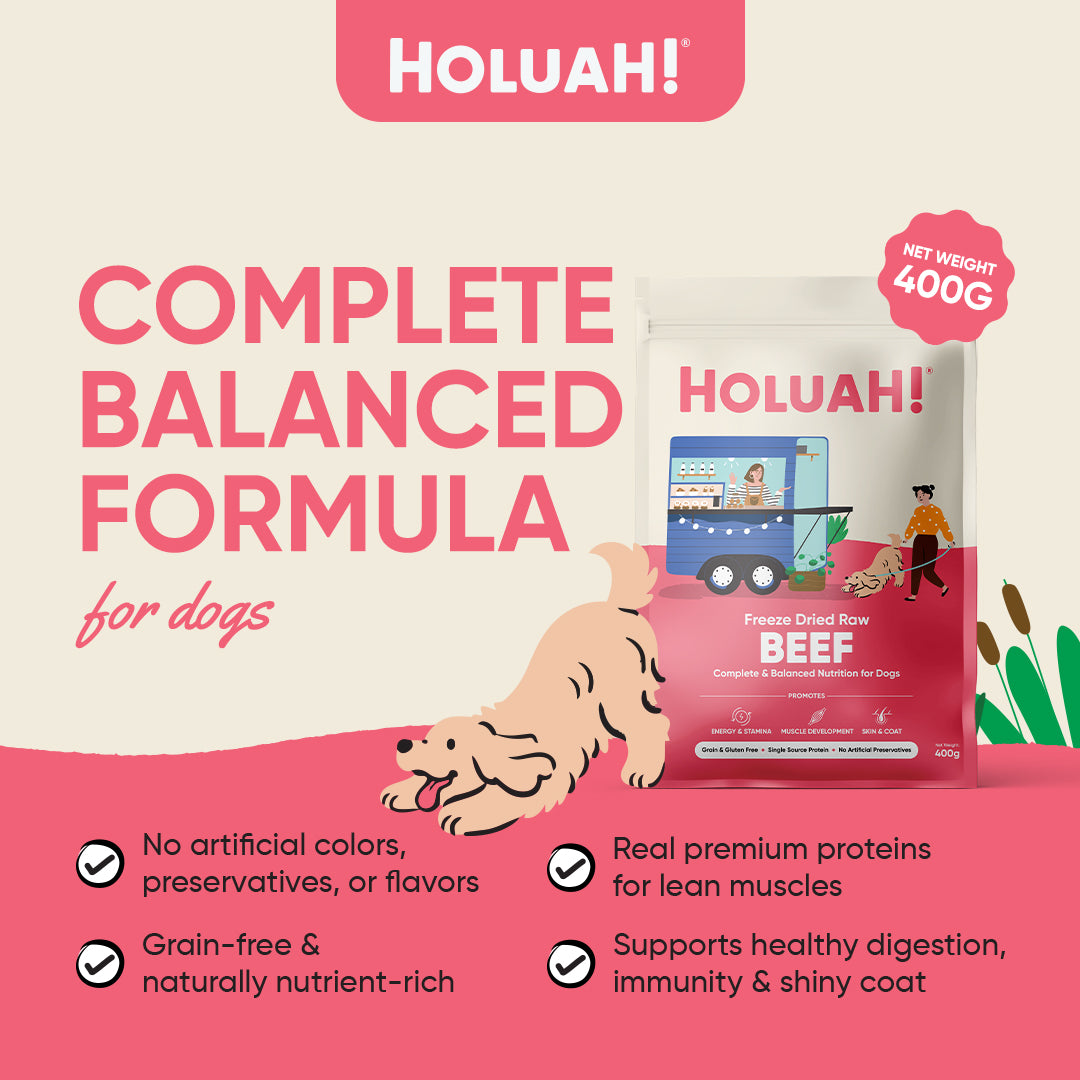 Holuah! Freeze Dried Food For Dogs - Beef