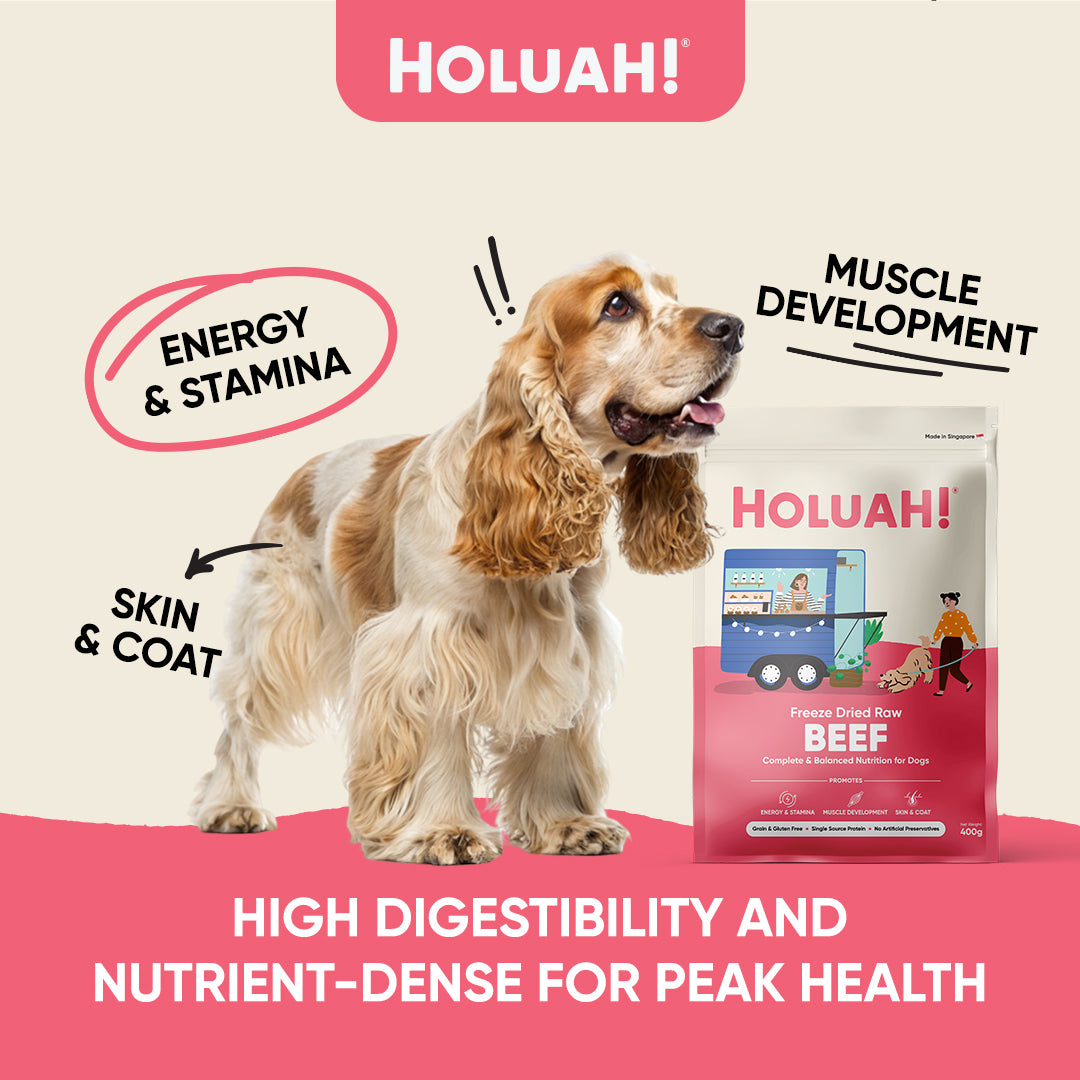 Holuah! Freeze Dried Food For Dogs - Beef