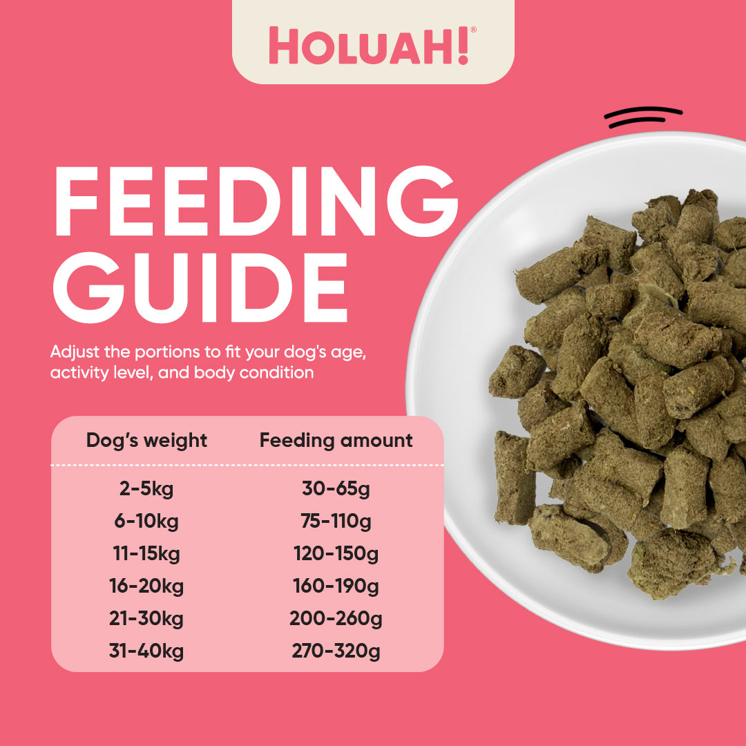 Holuah! Freeze Dried Food For Dogs - Beef