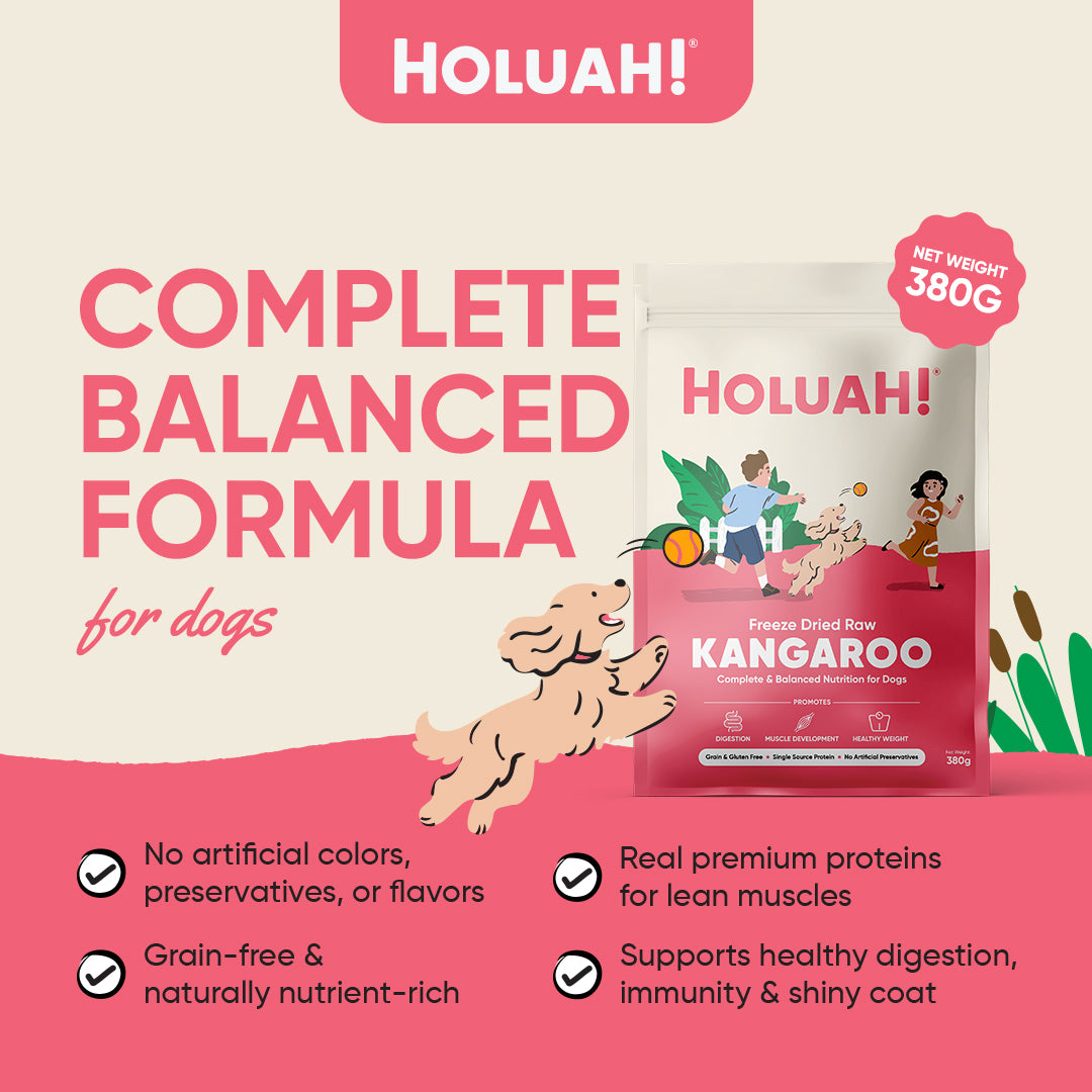 Holuah! Freeze Dried Food For Dogs - Kangaroo