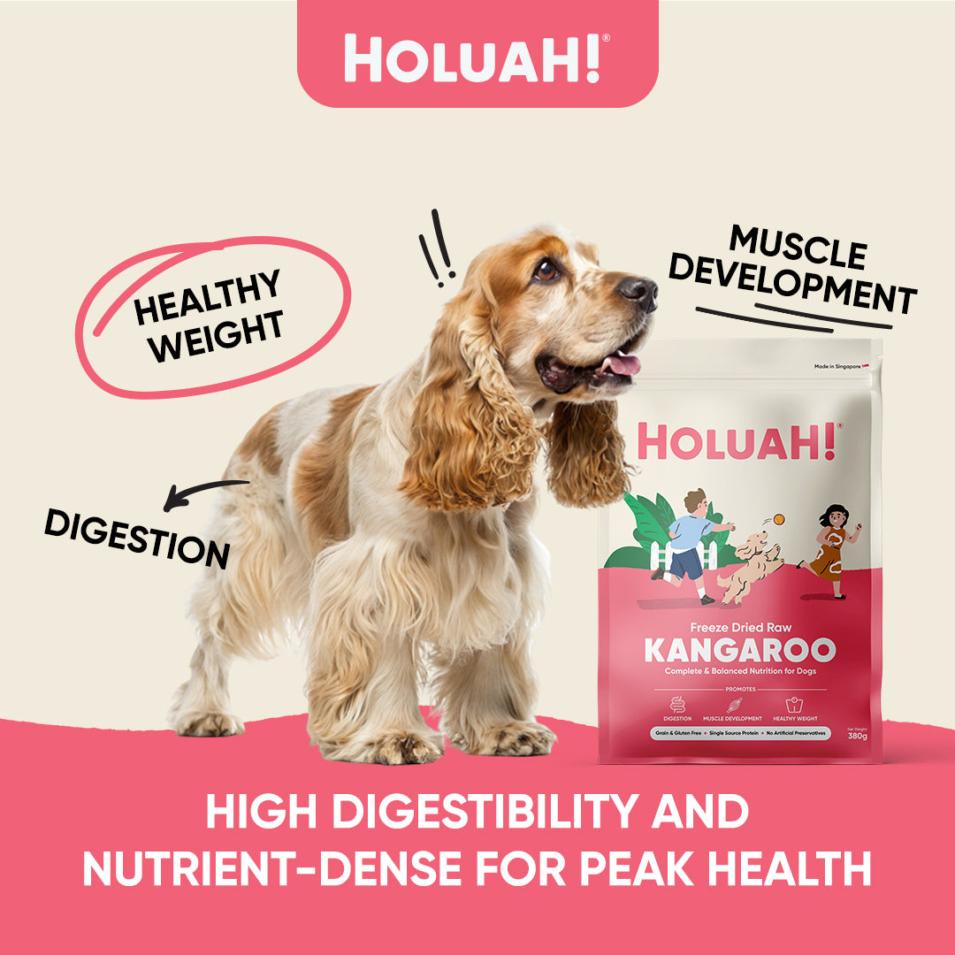 Holuah! Freeze Dried Food For Dogs - Kangaroo