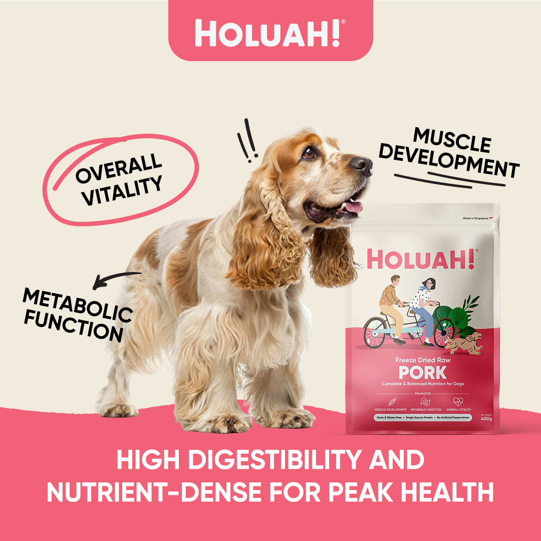 Holuah! Freeze Dried Food For Dogs - Pork