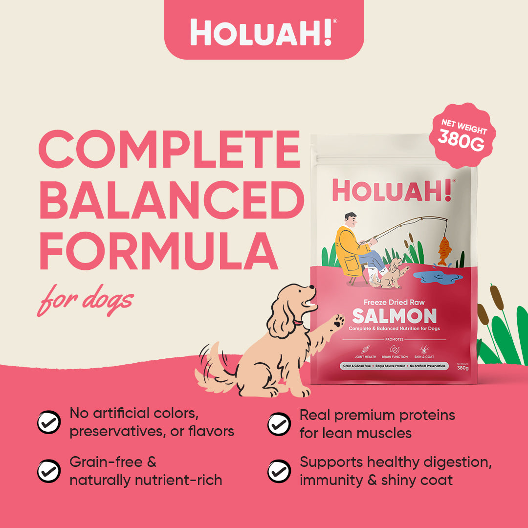 Holuah! Freeze Dried Food For Dogs - Salmon