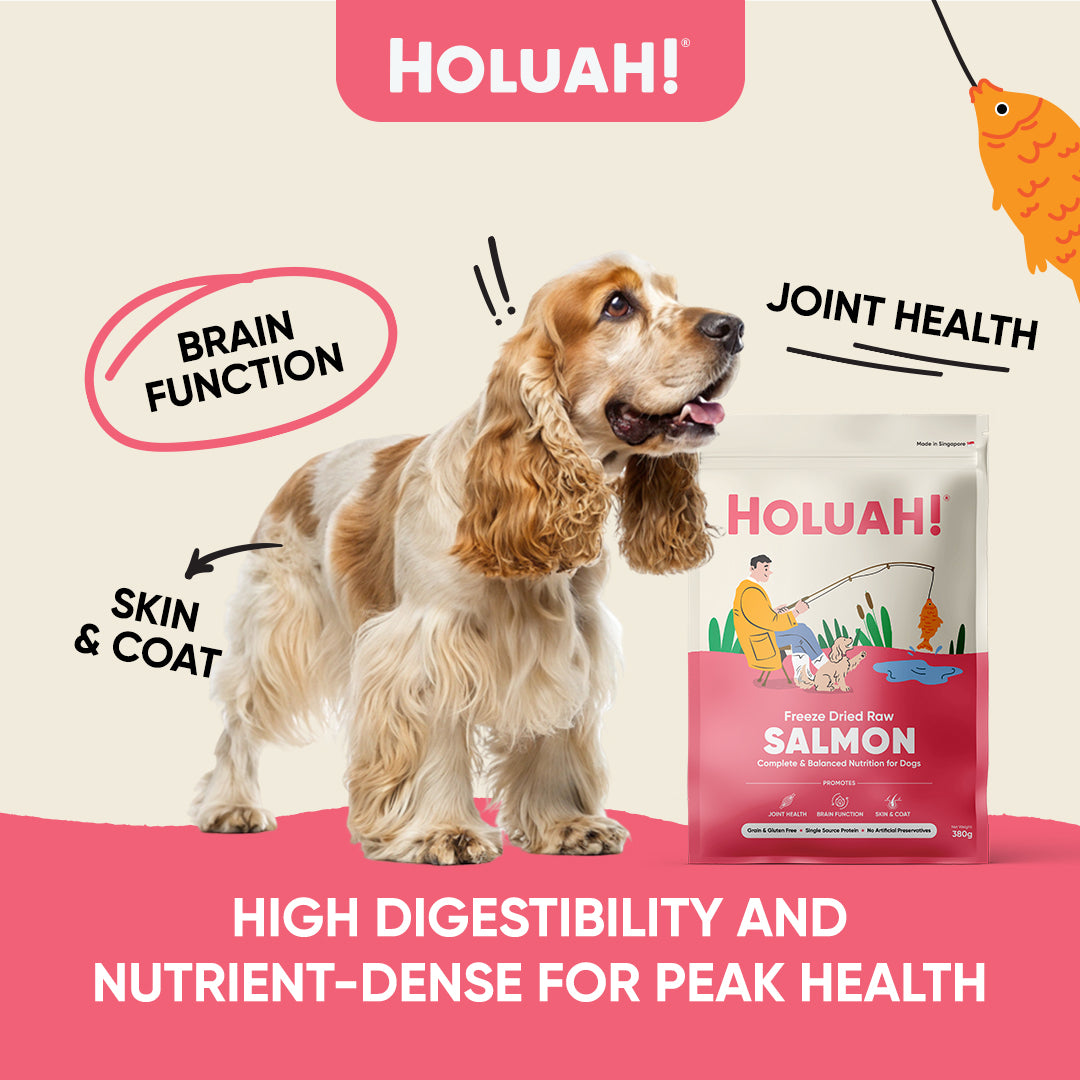 Holuah! Freeze Dried Food For Dogs - Salmon