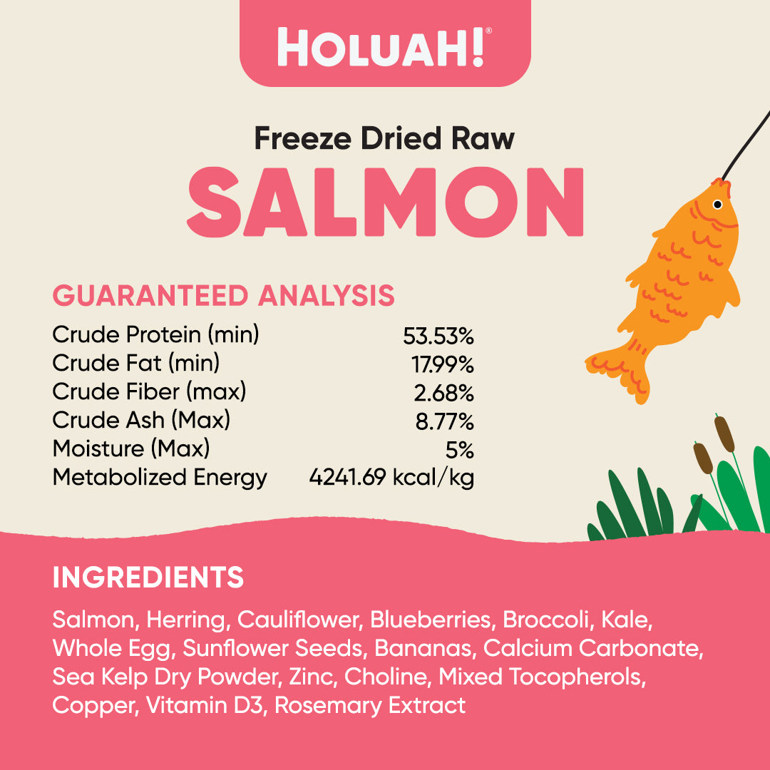 Holuah! Freeze Dried Food For Dogs - Salmon