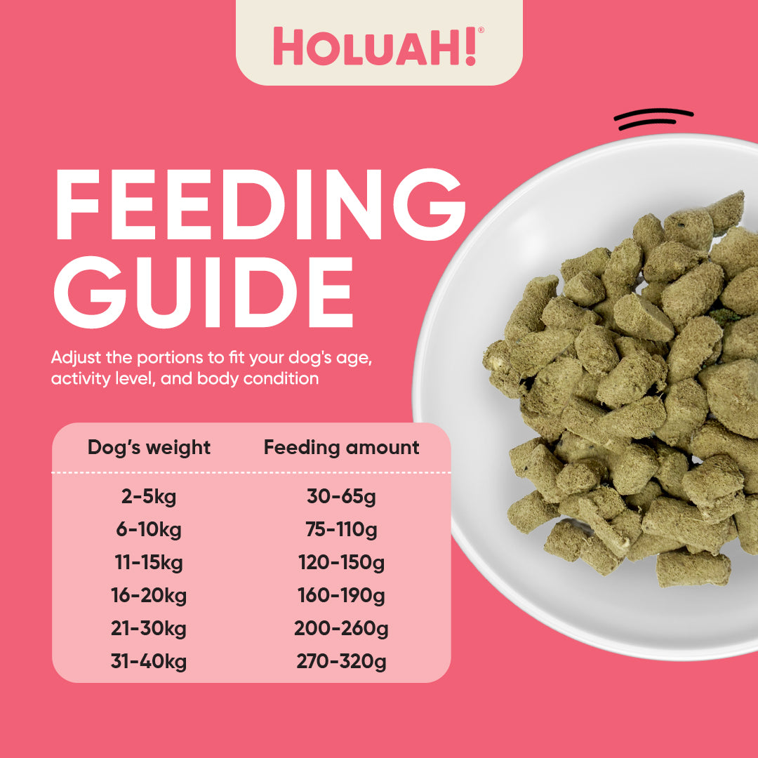 Holuah! Freeze Dried Food For Dogs - Salmon