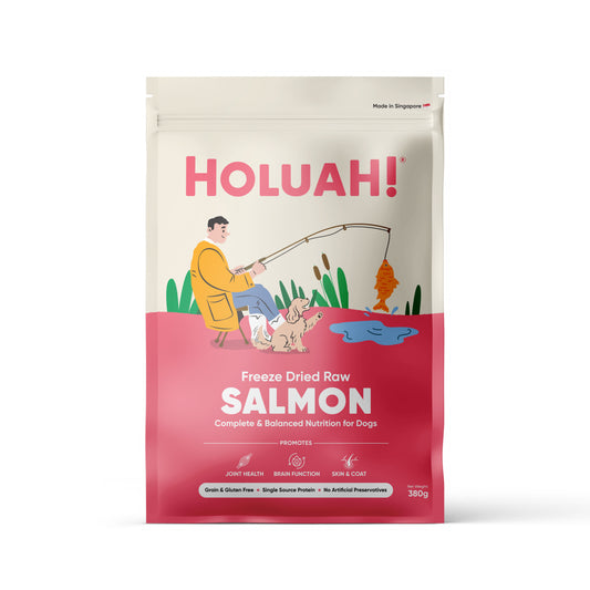 Holuah! Freeze Dried Food For Dogs - Salmon