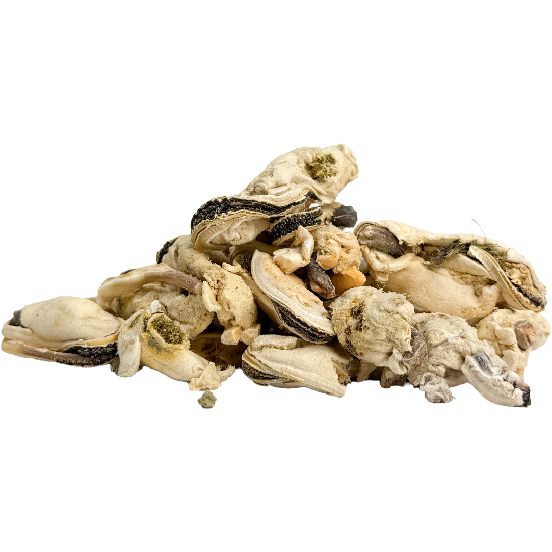Holuah! Freeze Dried Green Lipped Mussels Cats & Dogs Treats 70g