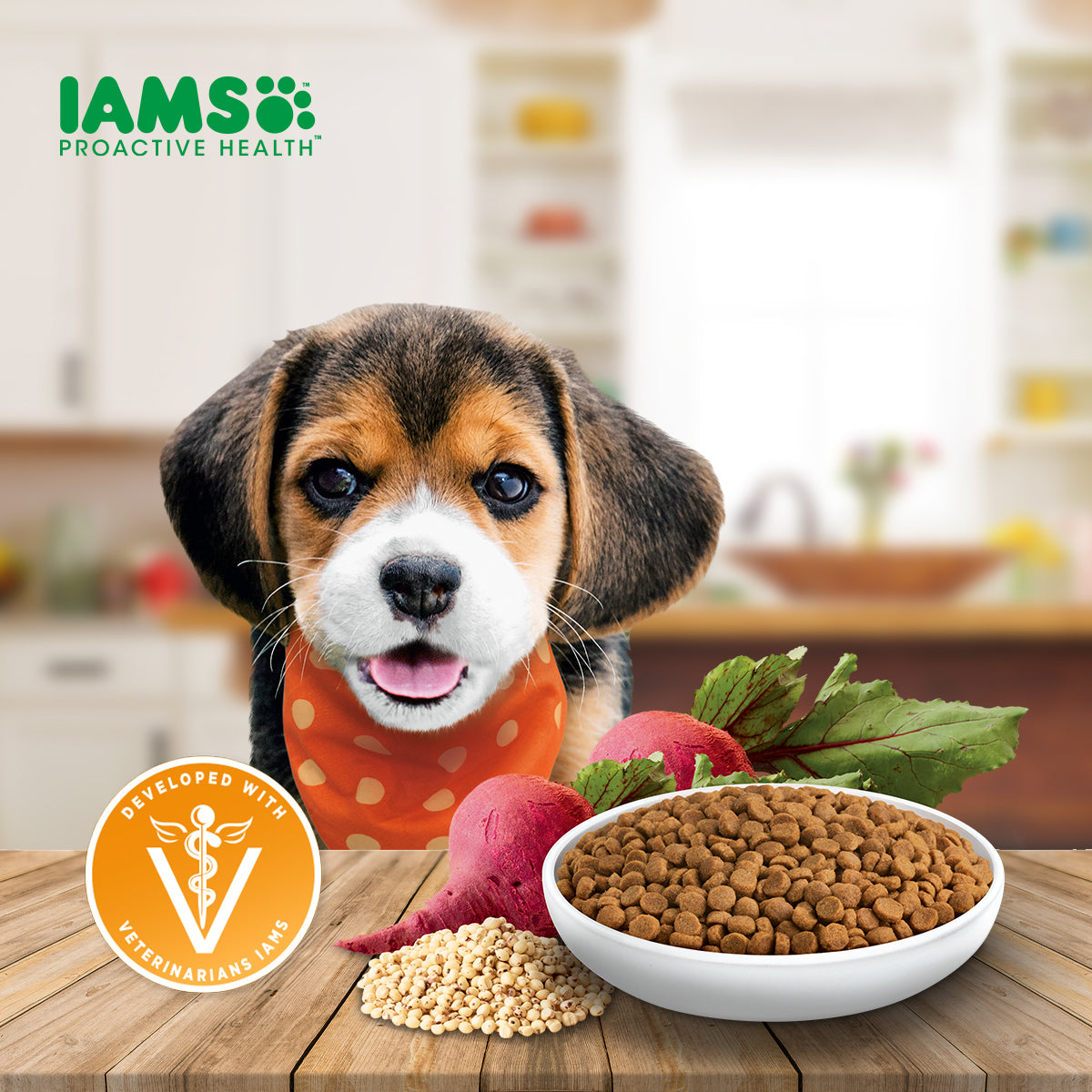 IAMS Dog Food Mother And Baby Dog in Chicken Flavor Premium Dry Food