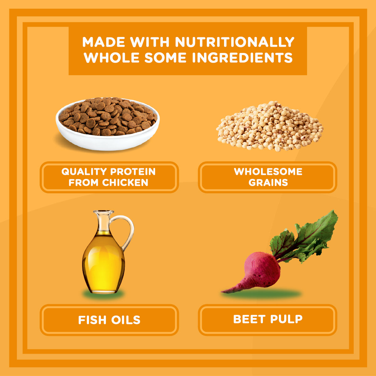 IAMS Dog Food Mother And Baby Dog in Chicken Flavor Premium Dry Food