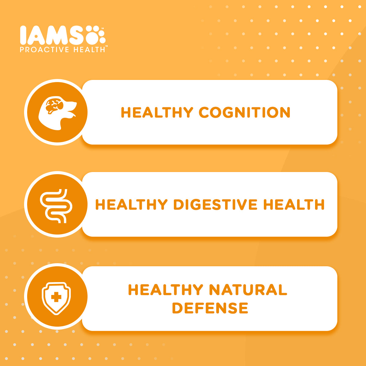 IAMS Dog Food Mother And Baby Dog in Chicken Flavor Premium Dry Food