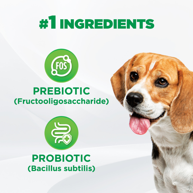 IAMS Dog Supplements for Digestive Care 168g