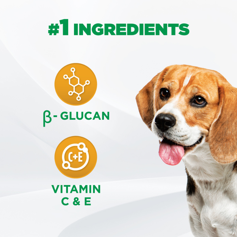 IAMS Dog Supplements for Immune System 168g