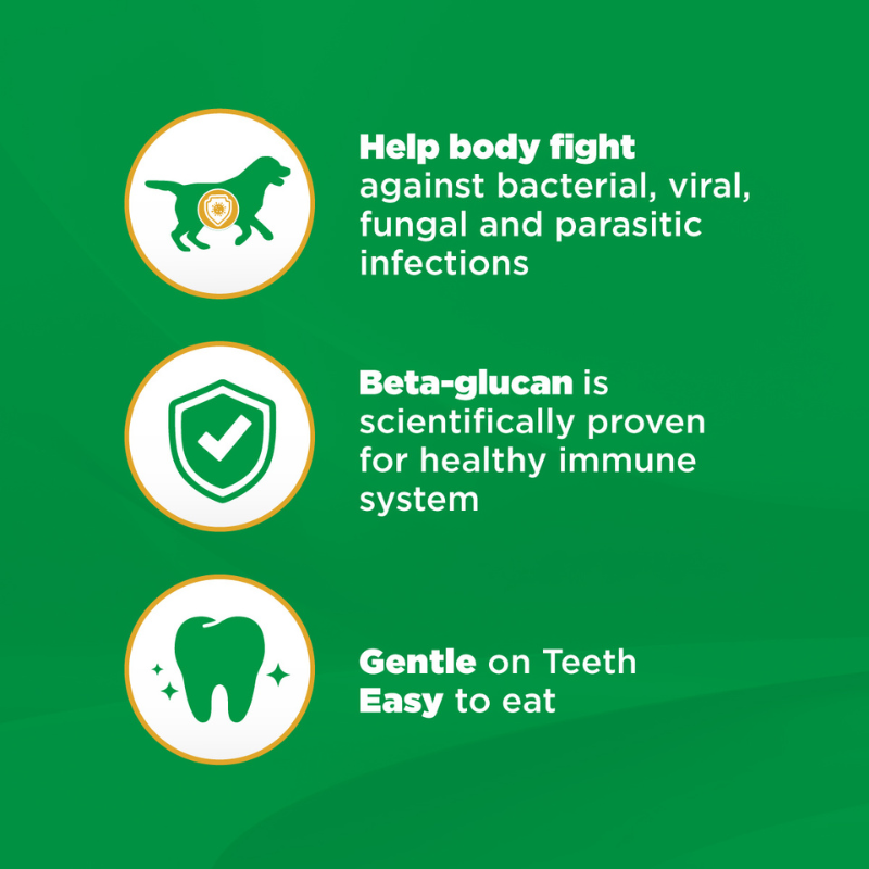 IAMS Dog Supplements for Immune System 168g