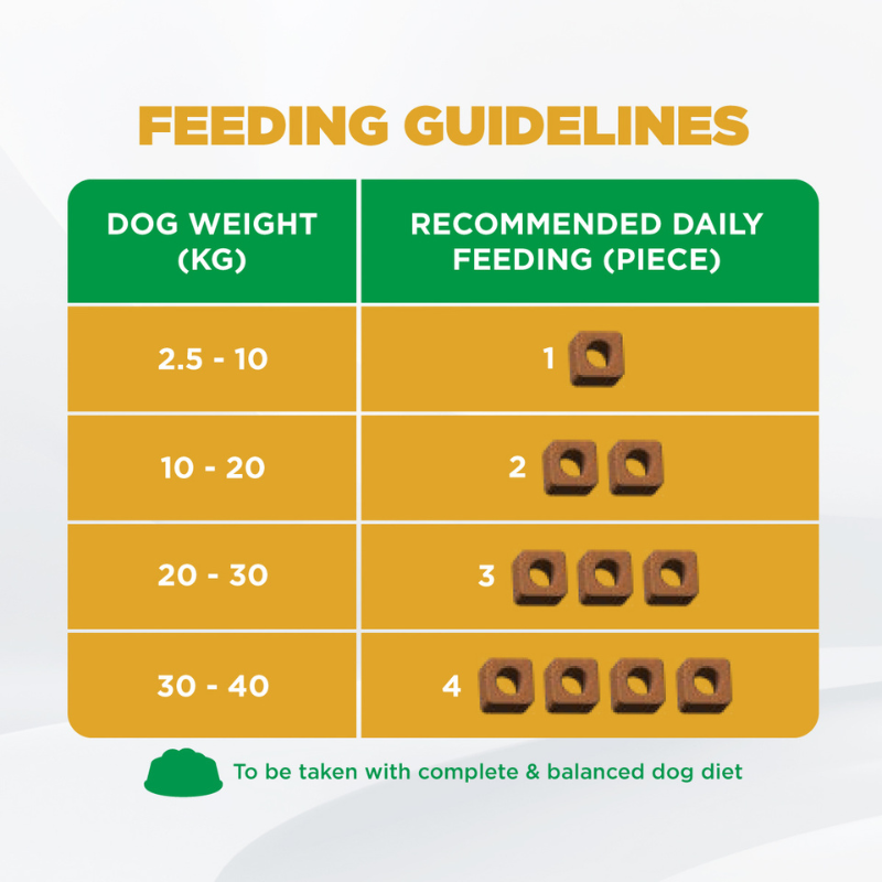 IAMS Dog Supplements for Immune System 168g