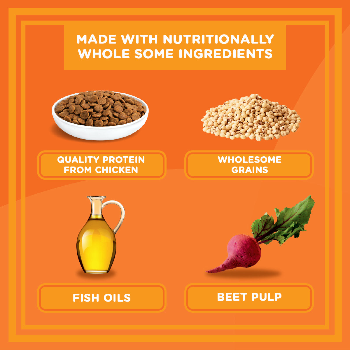 IAMS Proactive Health Premium Cat Dry Food in Chicken