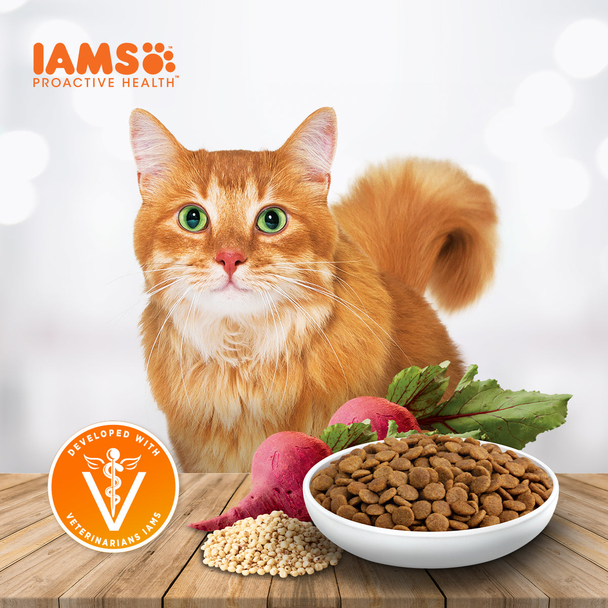 IAMS Proactive Health Premium Cat Food Dry Food in Chicken And Salmon