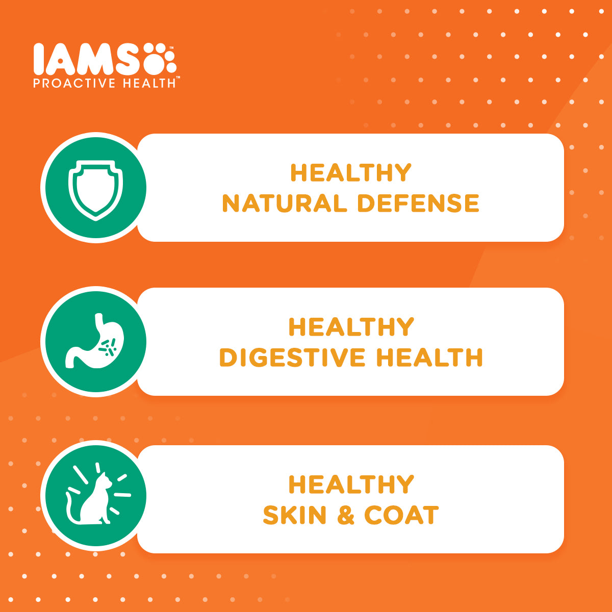 IAMS Proactive Health Premium Cat Food Dry Food in Chicken And Salmon