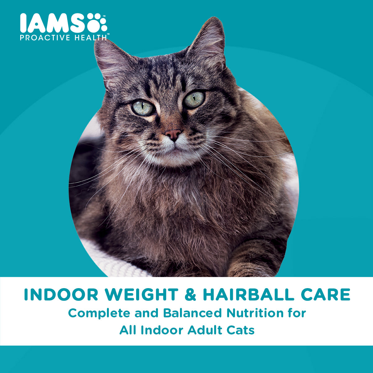 IAMS Proactive Health Premium Cat Food Indoor Weight And Hairball Care