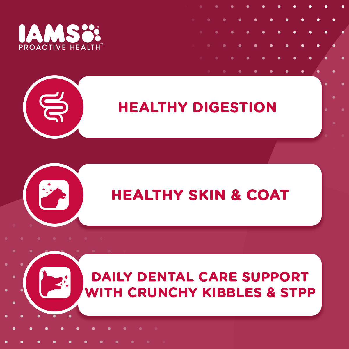 IAMS Proactive Health Premium Dog Food for Small Breed Adult Dogs