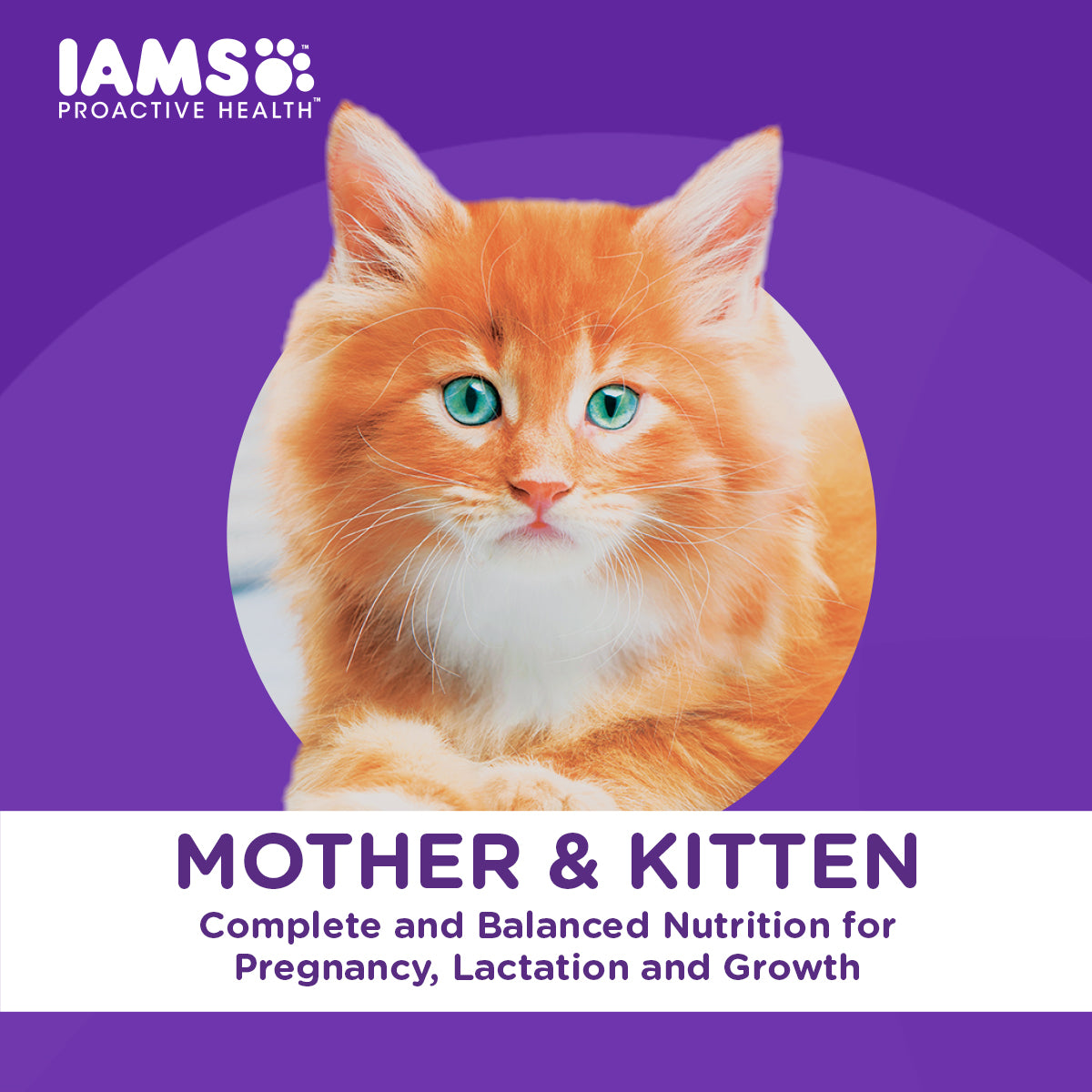 IAMS Proactive Health Premium Mother And Kitten Cat Food