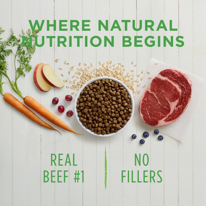 Instinct Be Natural Real Beef & Barley Recipe Dry Dog Food