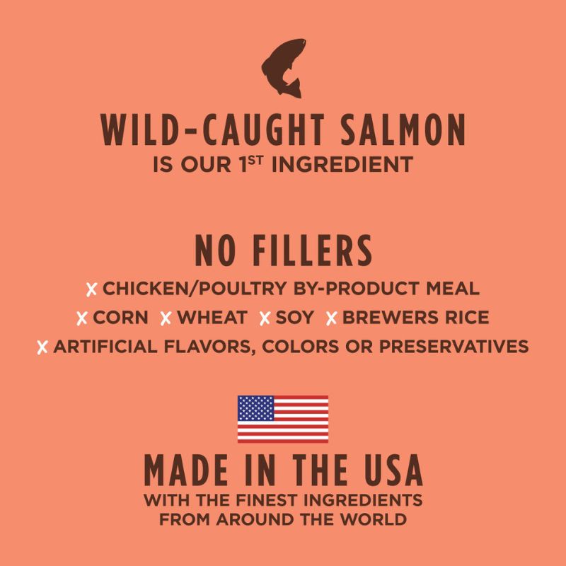 Instinct Be Natural Real Salmon & Brown Rice Recipe Dry Dog Food