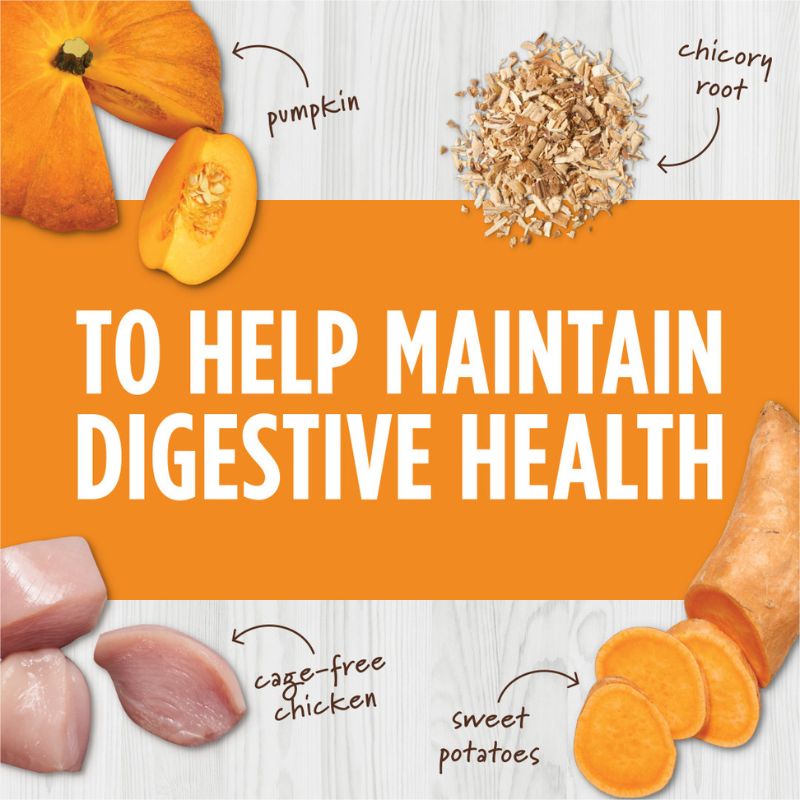 Instinct Freeze-Dried Raw Boost Mixers Grain-Free Digestive Health Recipe Cat [2 Size]