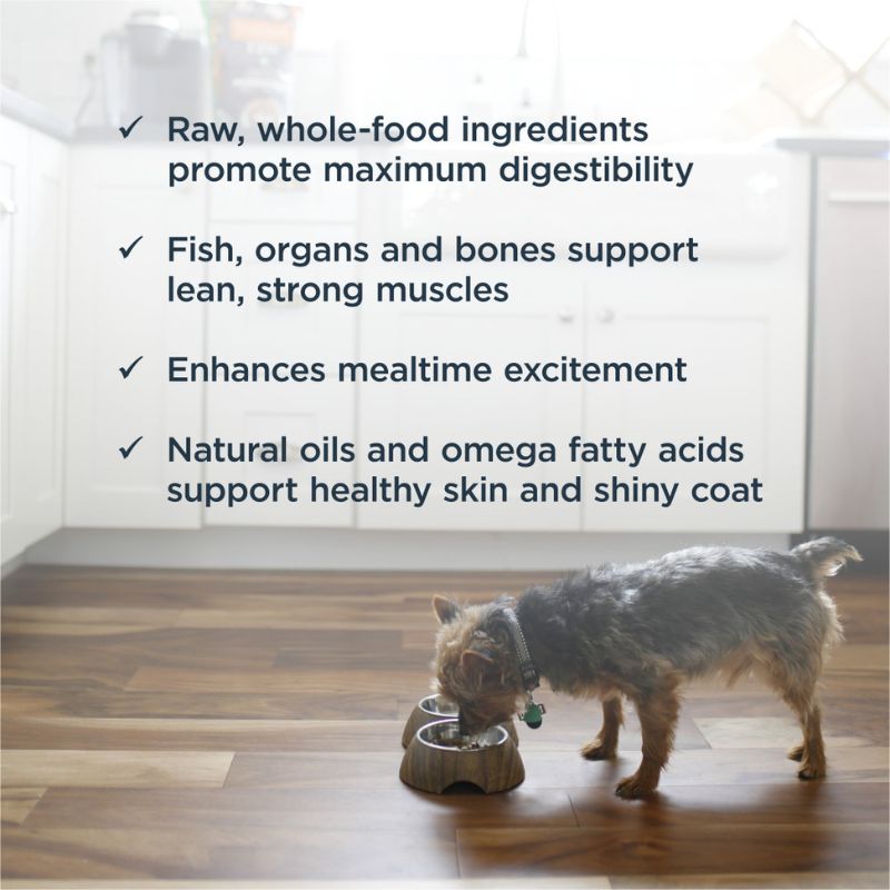 Instinct Freeze-Dried Raw Meal Grain-Free Pollock MSC Recipe Dog - 9oz