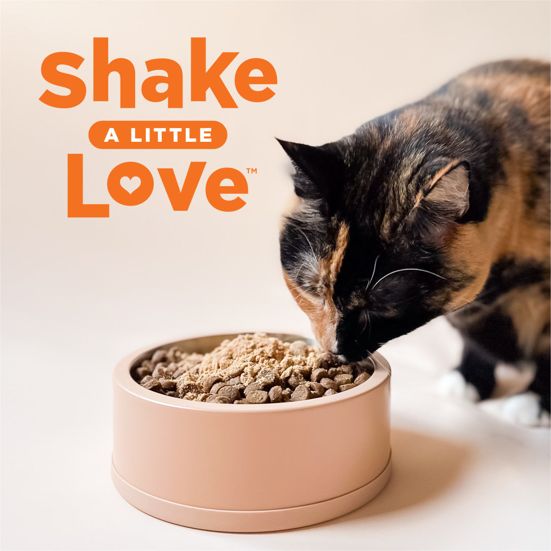 Calico cat eating Instinct Raw Boost Shakers freeze-dried chicken cat food topper from a pink bowl.