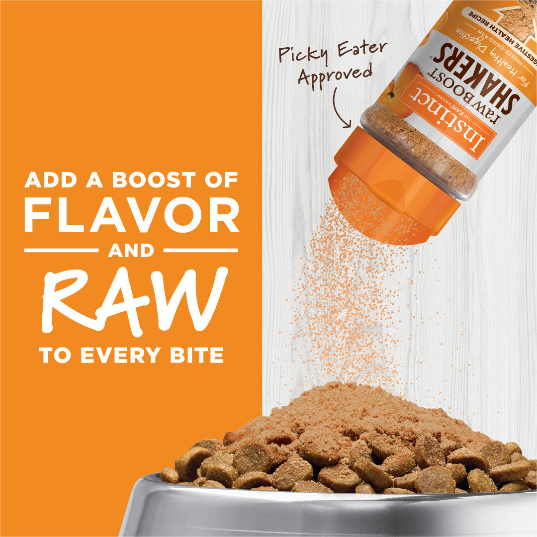 Orange Instinct Raw Boost Shakers bottle sprinkling freeze-dried raw cat food topper onto kibble in a silver bowl.