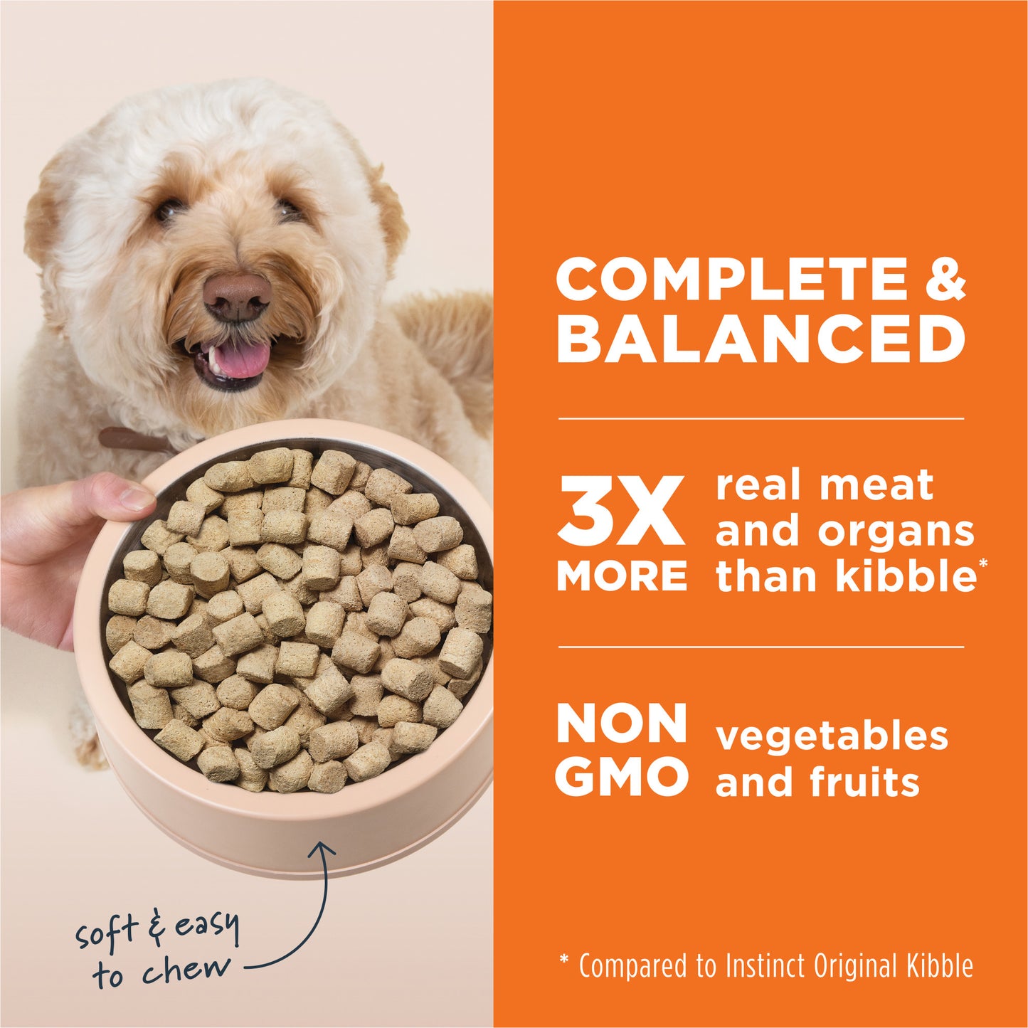 A happy dog looks at a beige bowl filled with Instinct freeze-dried raw chicken dog food.