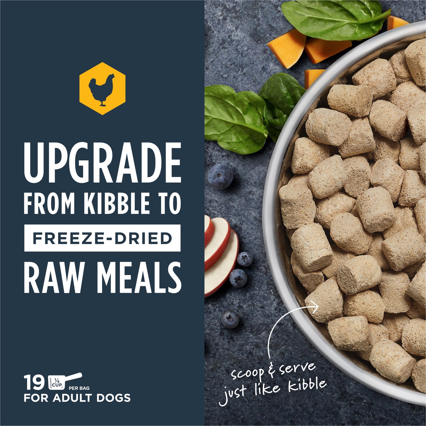 Instinct Freeze-dried Raw Meals: chicken dog food in a silver bowl with spinach, blueberries, apple, and pumpkin.