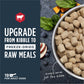 Instinct Freeze-dried Raw Meals Real Beef Recipe dog food in a silver bowl with spinach, blueberries, apple, and pumpkin.