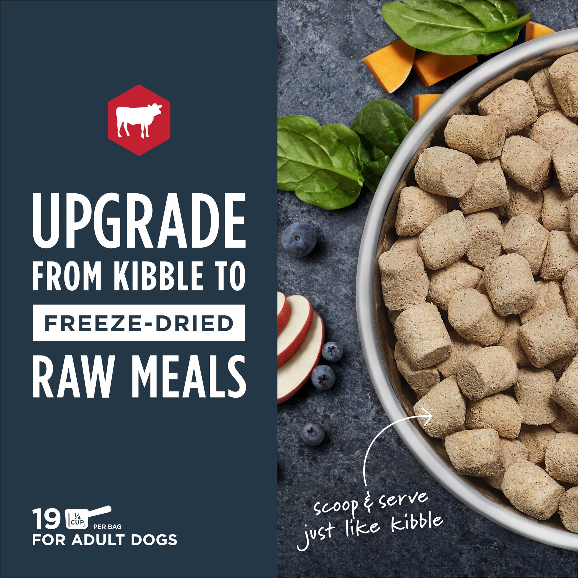 Instinct Freeze-dried Raw Meals Real Beef Recipe dog food in a silver bowl with spinach, blueberries, apple, and pumpkin.