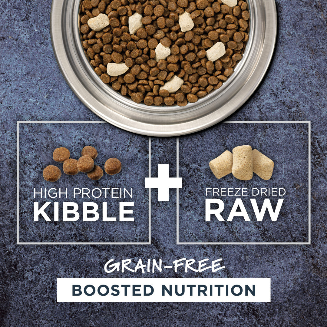 Instinct Raw Boost Grain-Free Chicken Dry Cat Food in a silver bowl, showing kibble and freeze-dried raw bites.