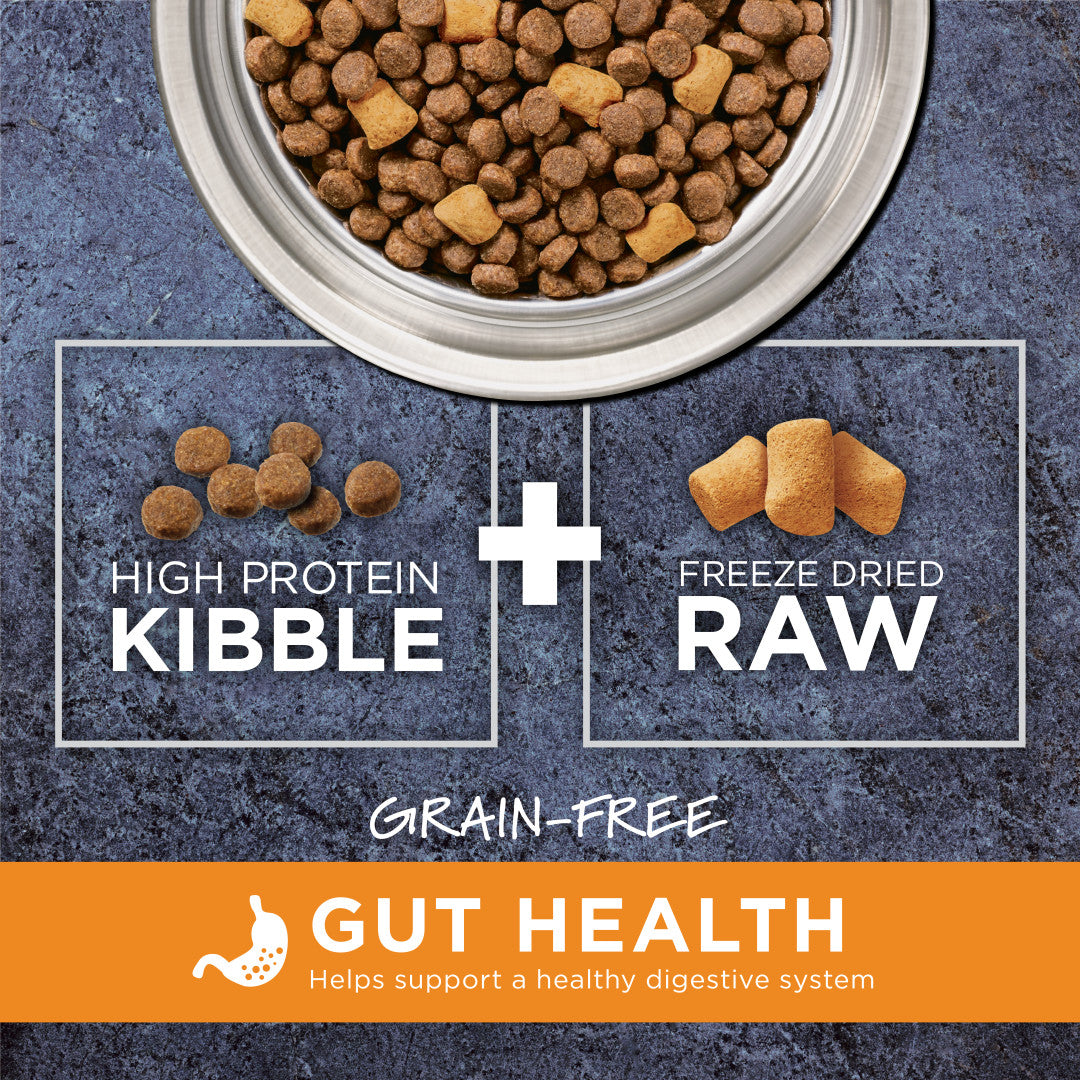 Instinct Raw Boost Gut Health dry dog food with high-protein kibble and freeze-dried raw chicken.