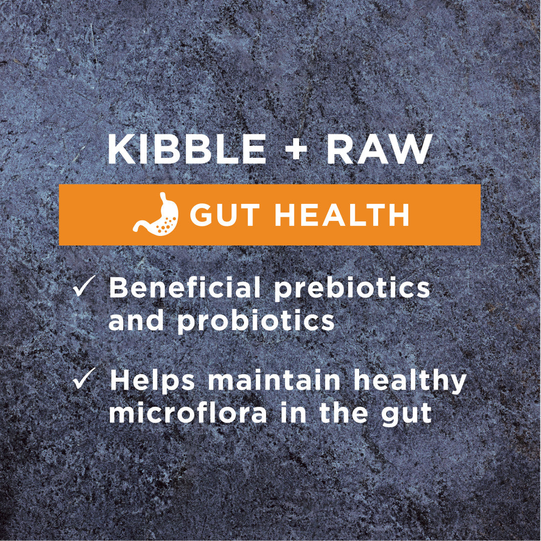 Dark gray textured background with "Kibble + Raw Gut Health" text, stomach icon, and two checked benefits.