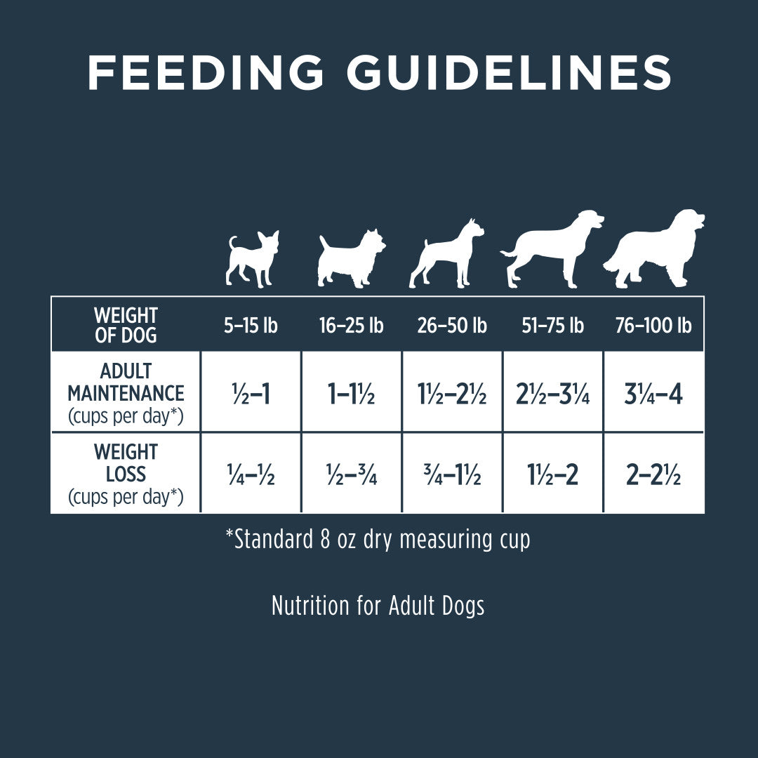 Dog food feeding guidelines chart on a dark blue background with white text and dog silhouettes.