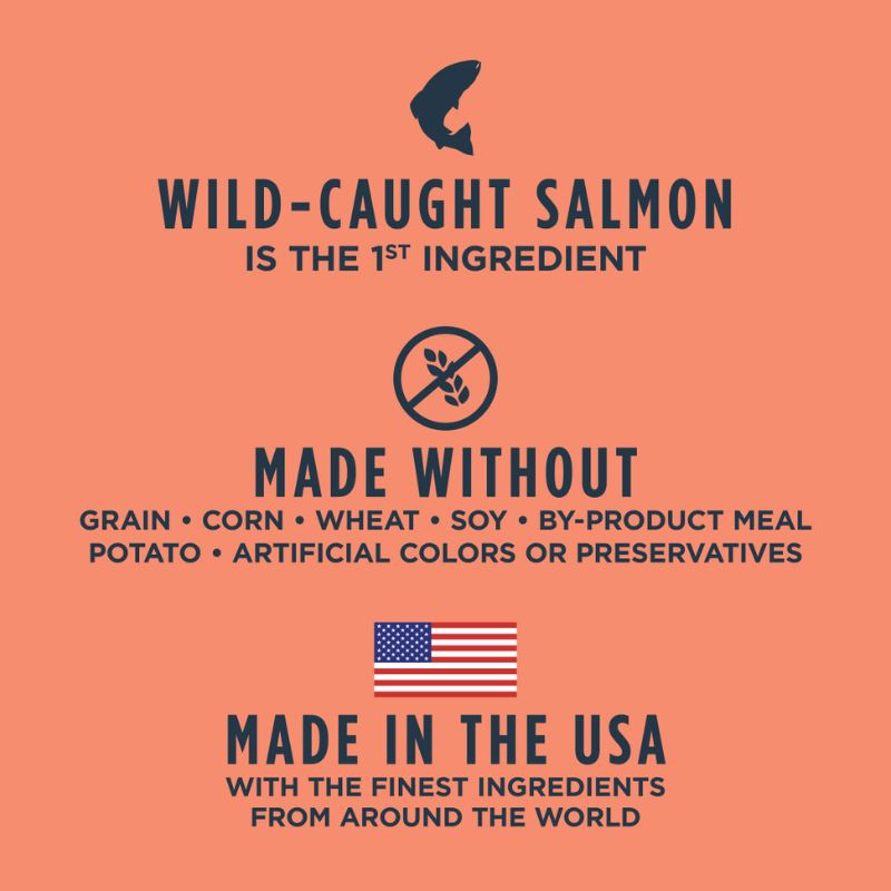 Instinct Raw Boost Salmon Dry Dog Food - 4lb