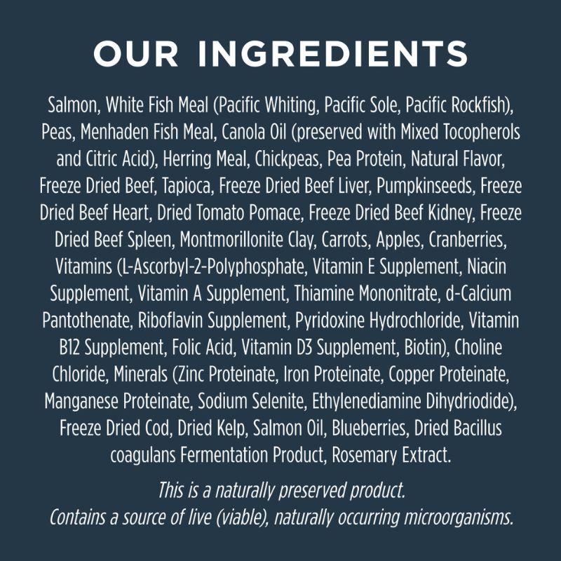 Instinct Raw Boost Salmon Dry Dog Food - 4lb