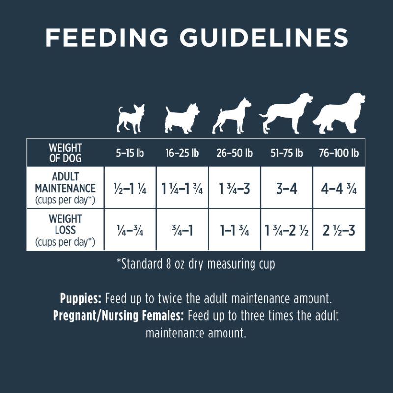 Instinct Raw Boost Whole Grain Real Lamb & Oatmeal Recipe Dry Dog Food - 4.5lb