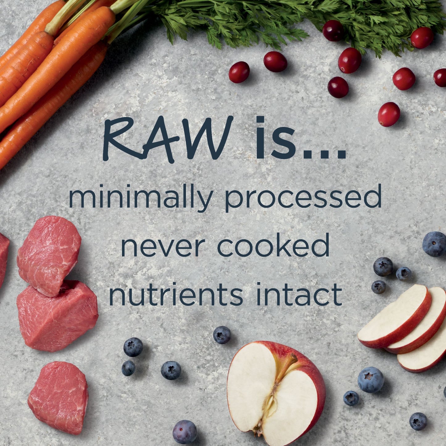 Instinct Raw Boost Whole Grain Real Lamb & Oatmeal Recipe Dry Dog Food 4.5lbs