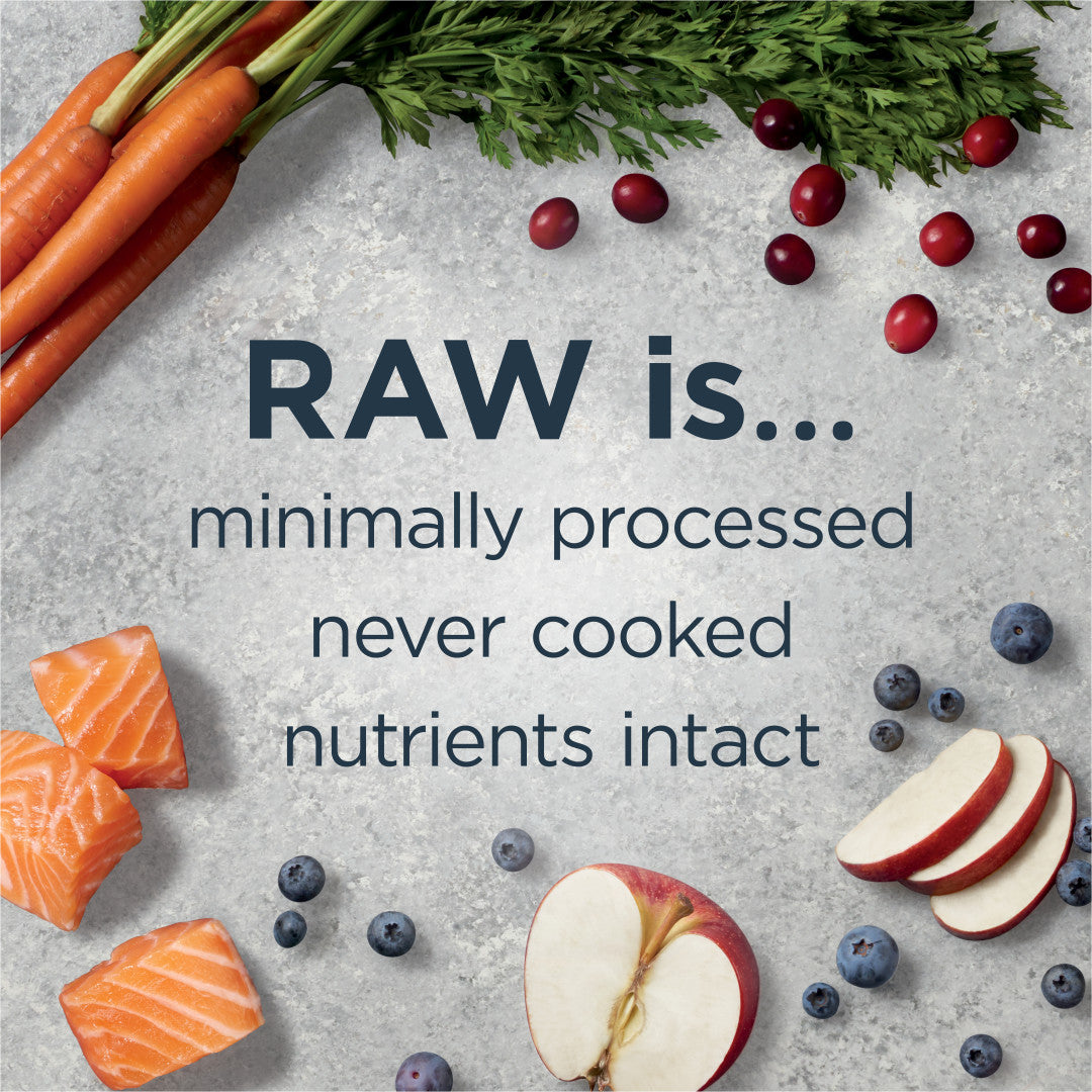 Instinct Raw Boost Whole Grain Real Salmon & Brown Rice Recipe Dry Dog Food