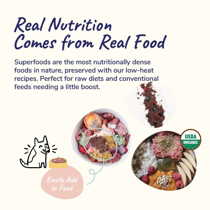 Kin+Kind Organic Healthy Immunity Supplement