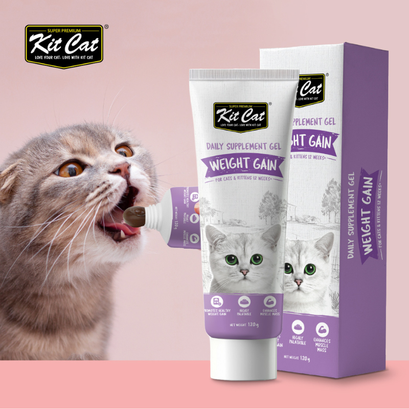 Kit Cat Daily Nutritional Supplement Gel For Cats & Kittens- Weight Gain (120g)