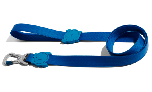 Neopro Blue Leash