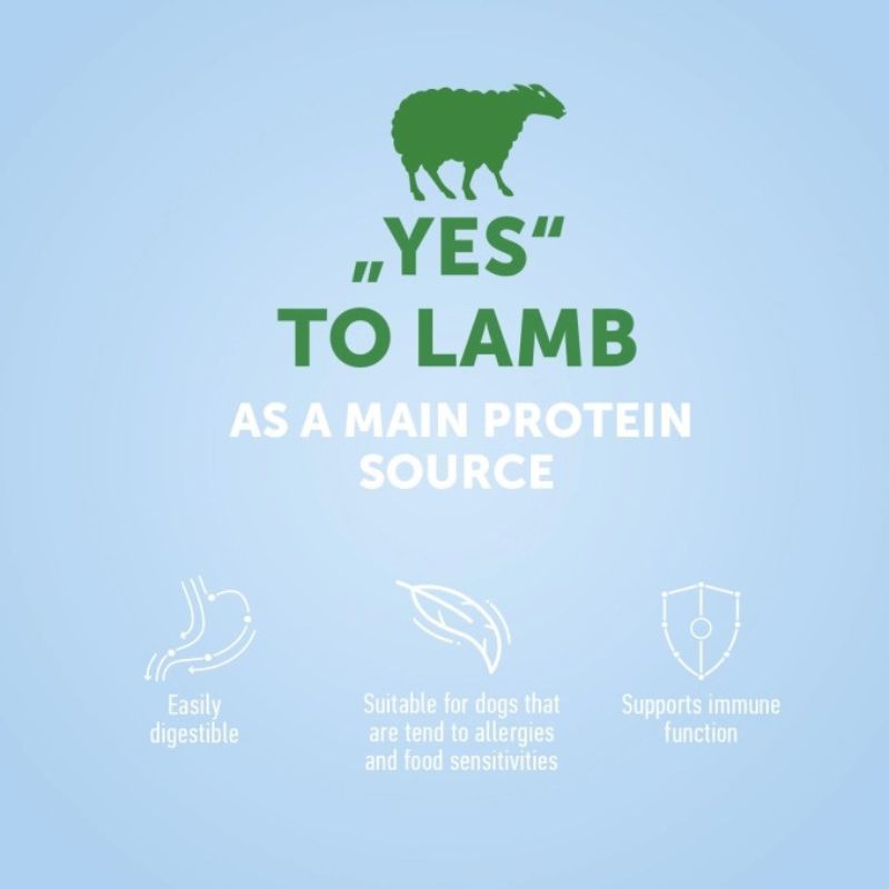 Nature's Protection Adult Lamb Dog [2 Sizes]
